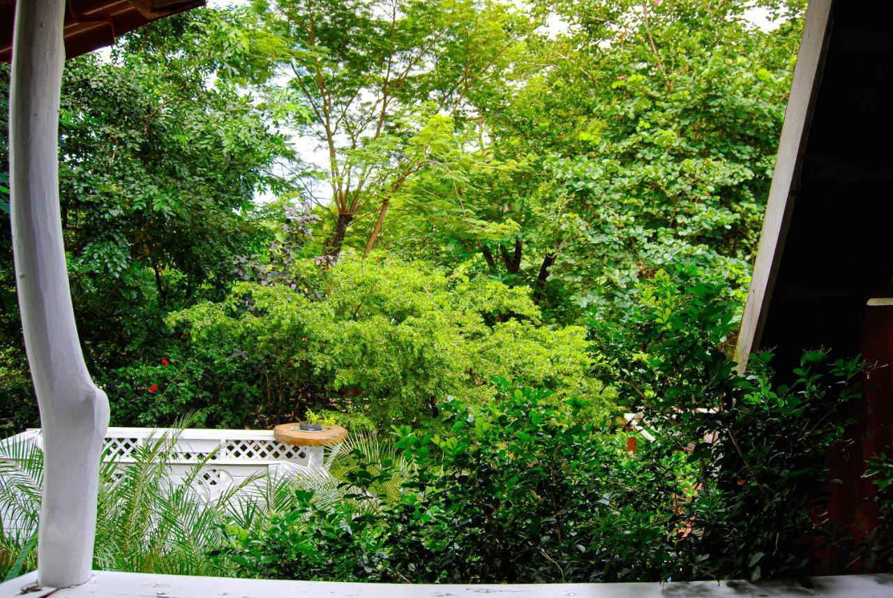 노사라 Hacienda Sarah 빌라 외부 사진